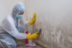 Best Industrial Mold Remediation  in Pittsburg, CA